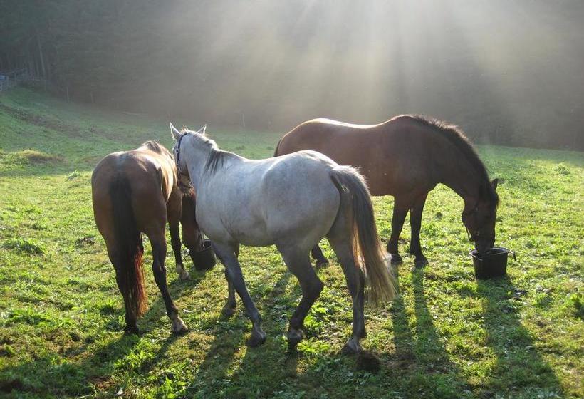 إقامة Country Club La Mesteceni