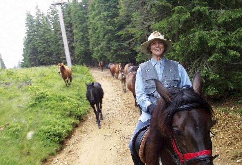 إقامة Country Club La Mesteceni