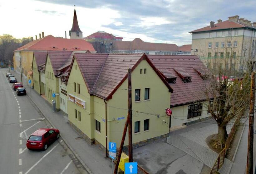 منتجع Pensiunea Luceafărul Sibiu