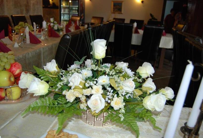 منتجع Vila Carpathia