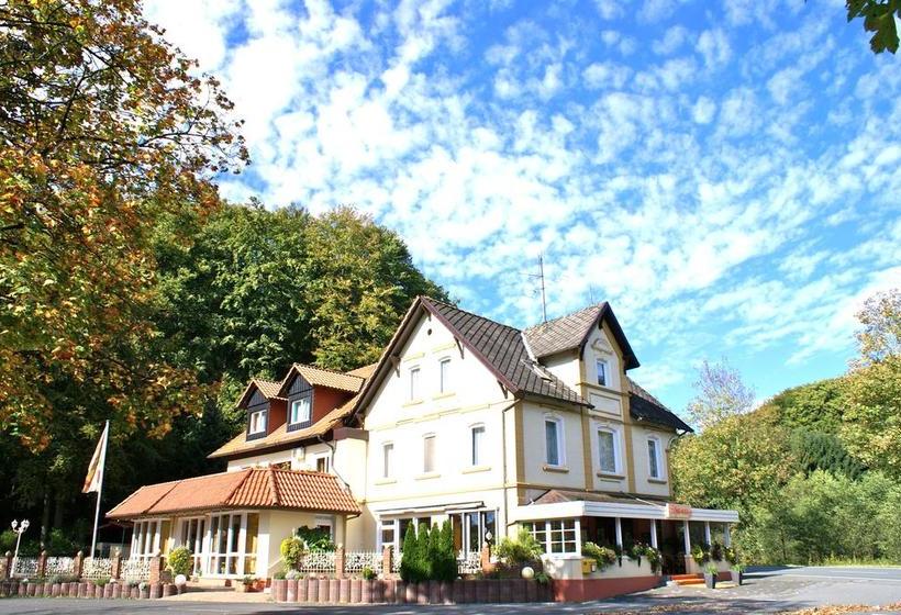 هتل Elfenberg