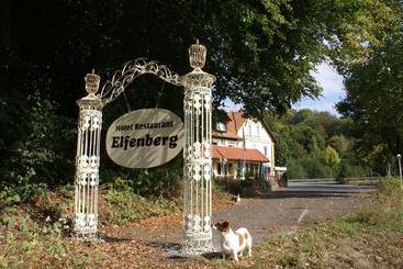 هتل Elfenberg