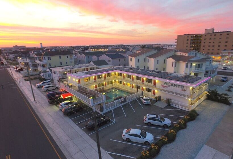 호텔 Alante Oceanfront Motor