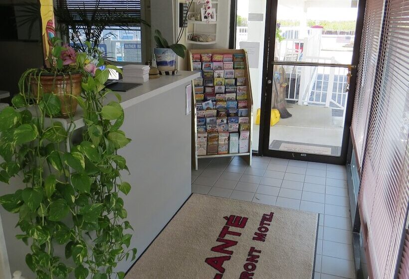 호텔 Alante Oceanfront Motor