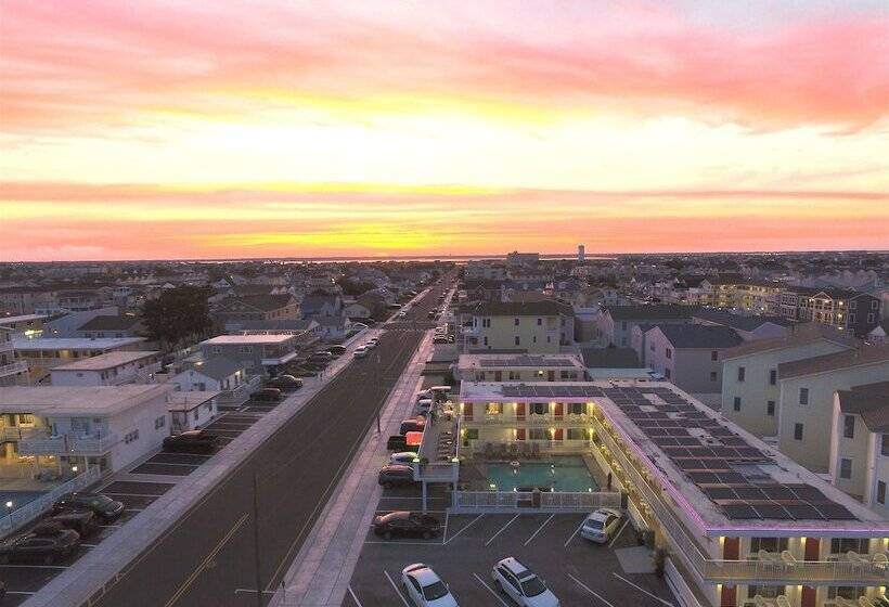 호텔 Alante Oceanfront Motor