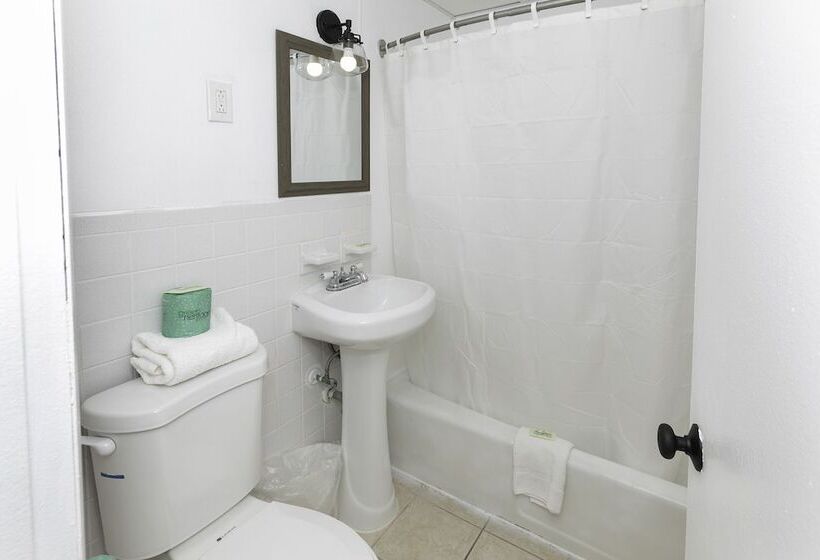 호텔 Alante Oceanfront Motor