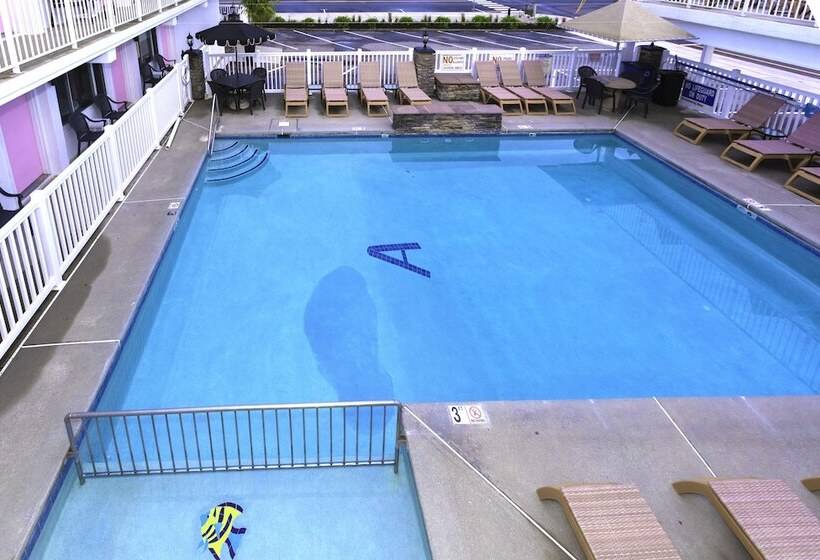 호텔 Alante Oceanfront Motor