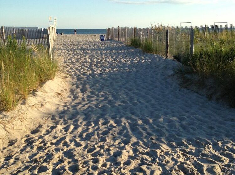 호텔 Alante Oceanfront Motor