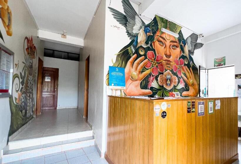 Общежитие El Mural Backpackers