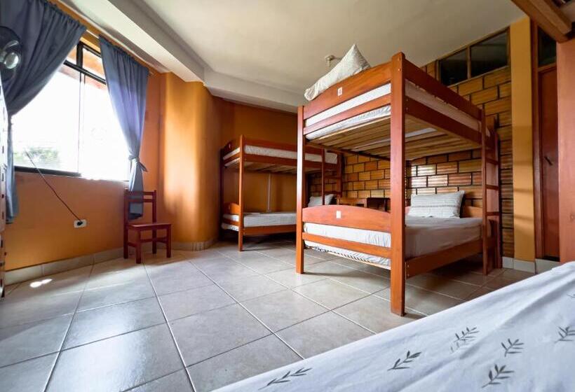 Общежитие El Mural Backpackers