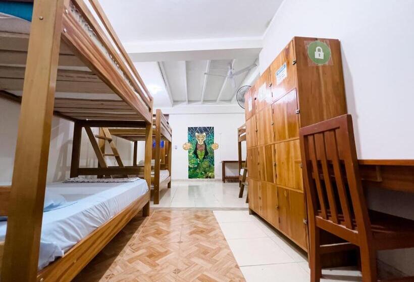 Общежитие El Mural Backpackers