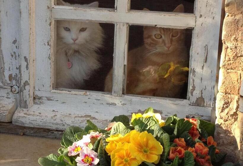 B&b Domaine Le Clos Du Pavillon