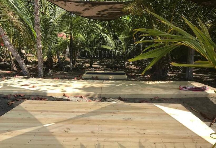 住宿加早餐  Dreamy Contentment