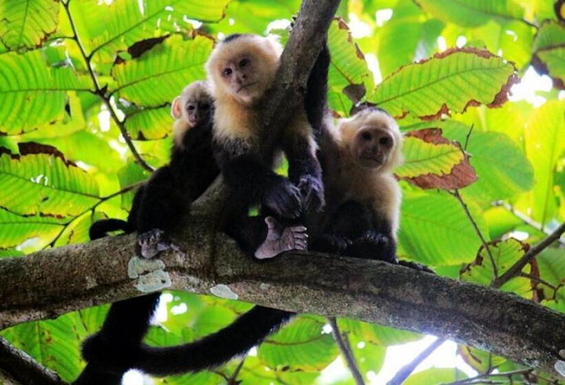 住宿加早餐  Dreamy Contentment