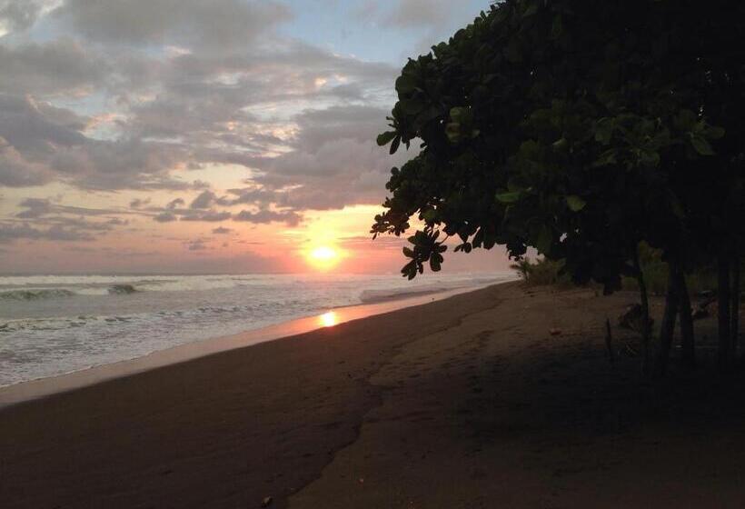 住宿加早餐  Dreamy Contentment