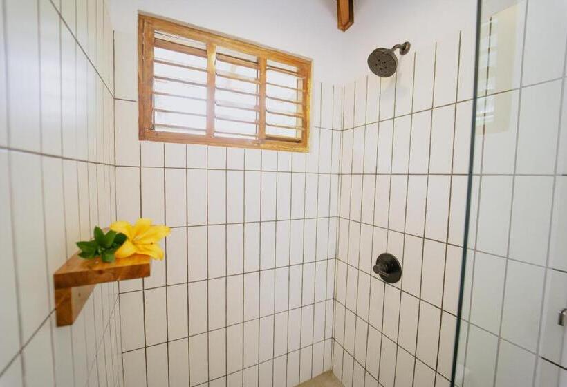 住宿加早餐  Dreamy Contentment