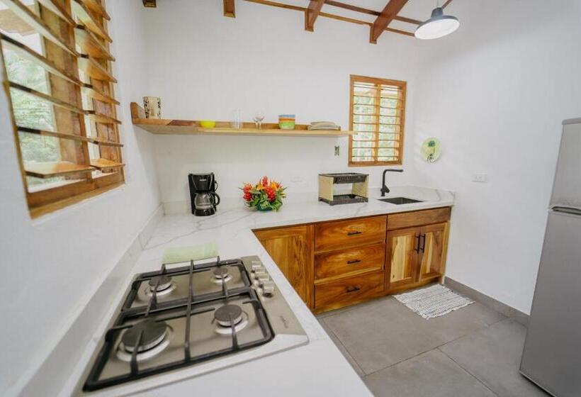 住宿加早餐  Dreamy Contentment