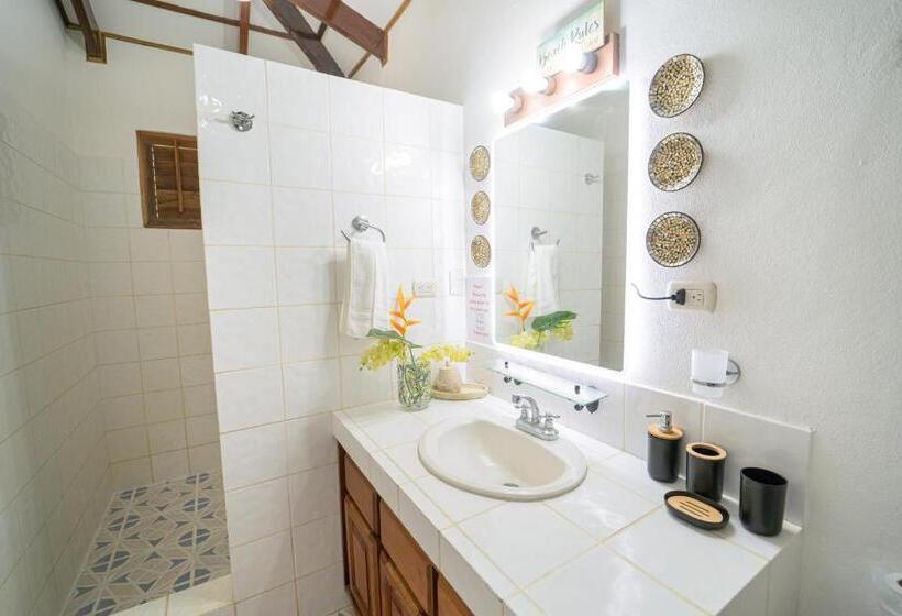 住宿加早餐  Dreamy Contentment