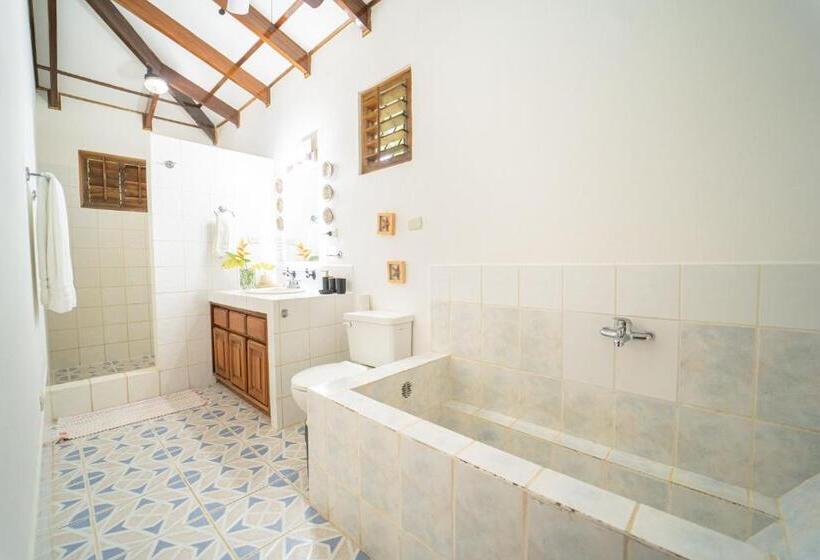 住宿加早餐  Dreamy Contentment