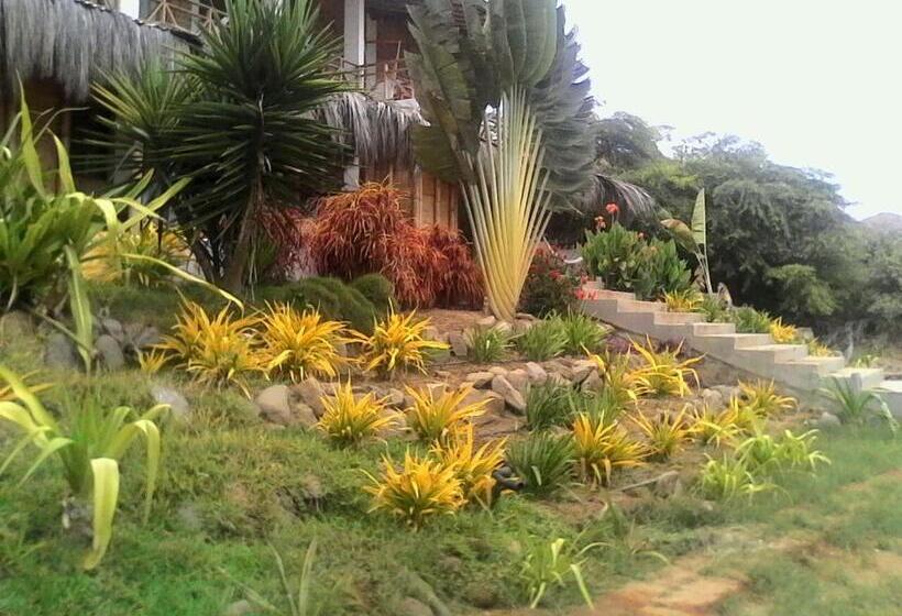 تختخواب و صبحانه El Delfin