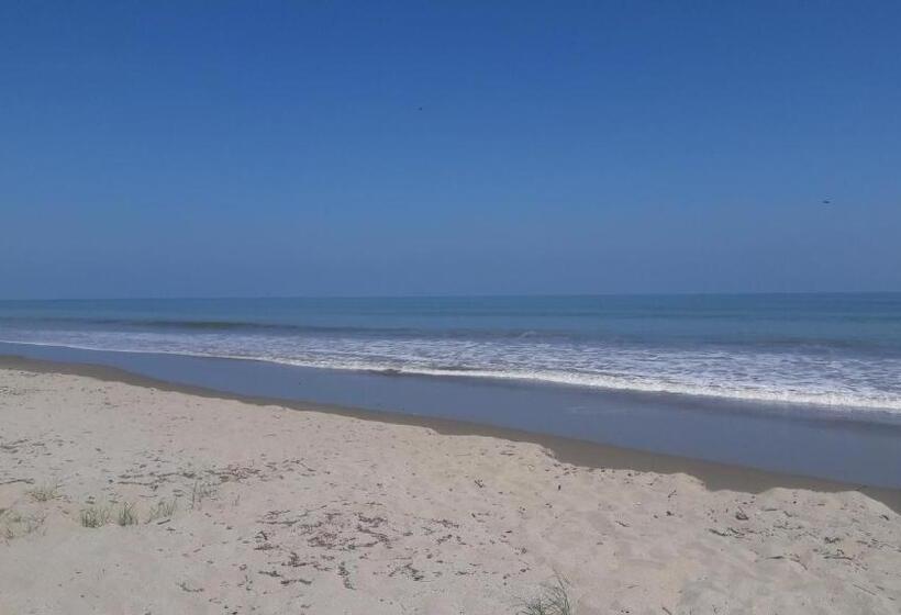 تختخواب و صبحانه El Delfin