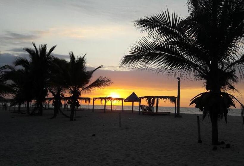 تختخواب و صبحانه El Delfin