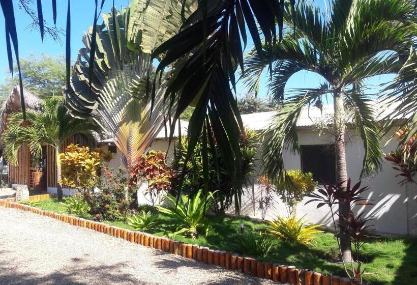 تختخواب و صبحانه El Delfin