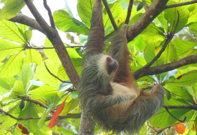 住宿加早餐  Jardín De Los Monos