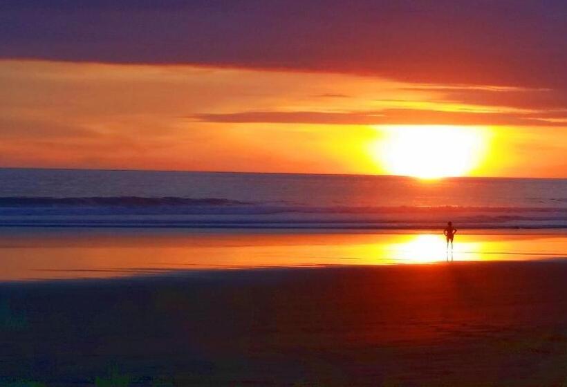 住宿加早餐  Jardín De Los Monos