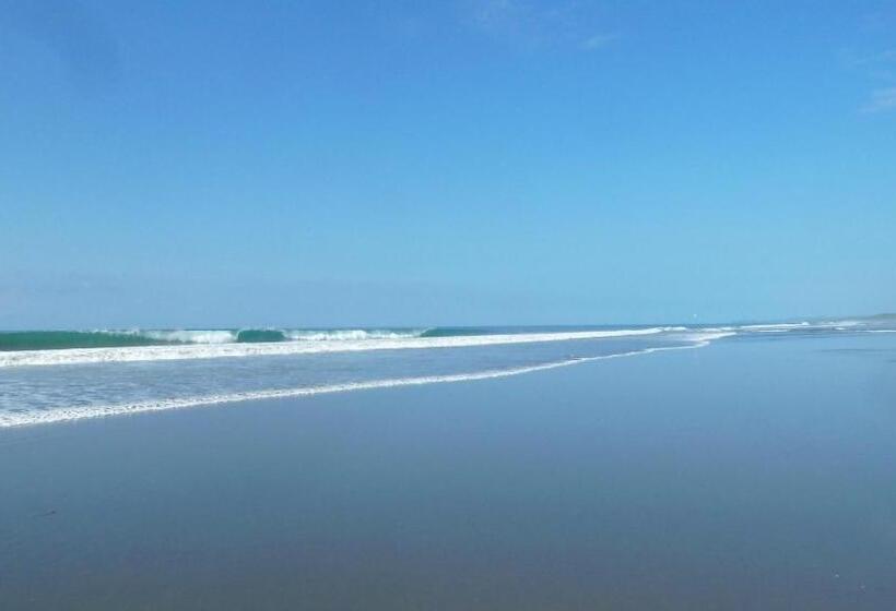 住宿加早餐  Jardín De Los Monos