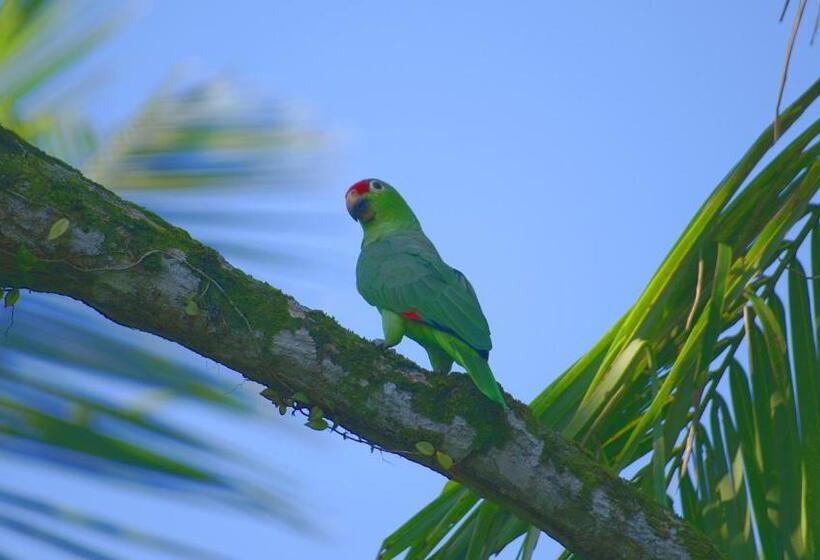住宿加早餐  Jardín De Los Monos