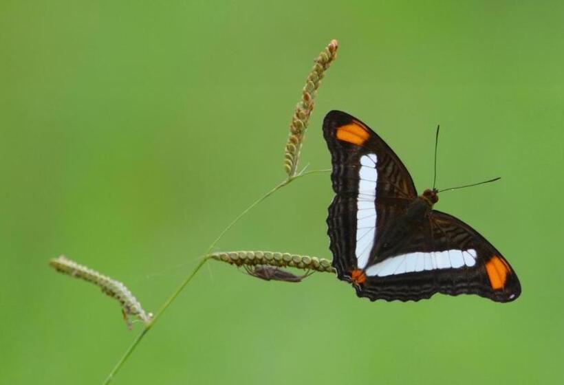 住宿加早餐  Jardín De Los Monos
