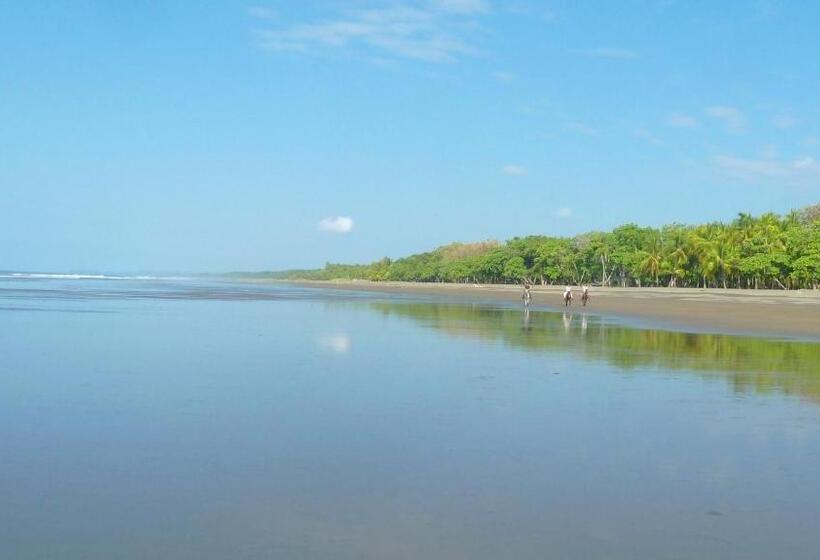 住宿加早餐  Jardín De Los Monos