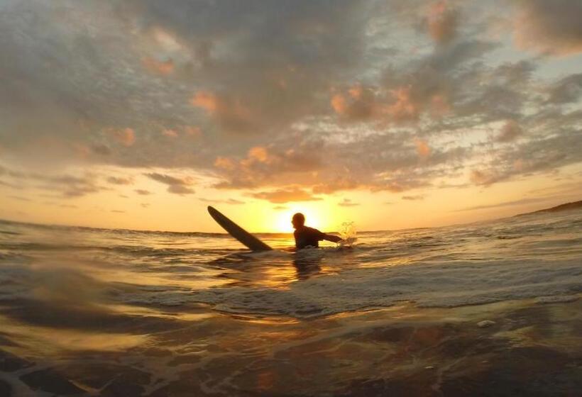 住宿加早餐  Jardín De Los Monos