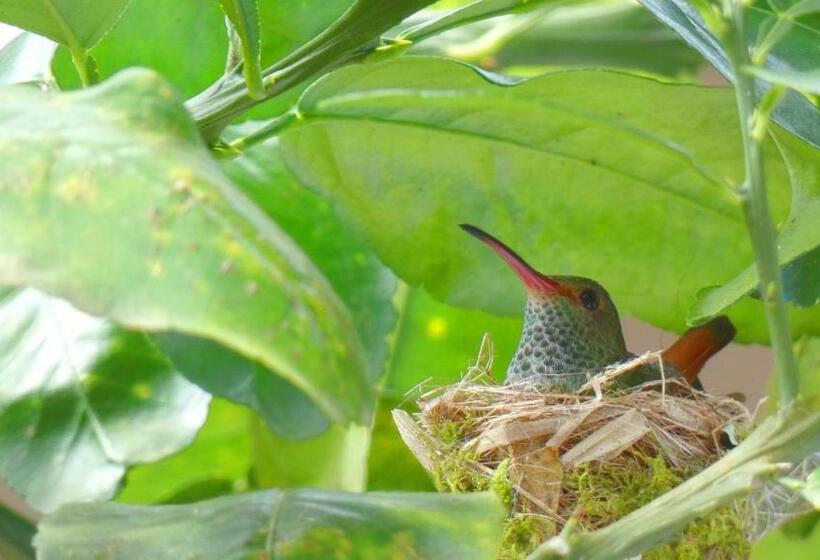 住宿加早餐  Jardín De Los Monos