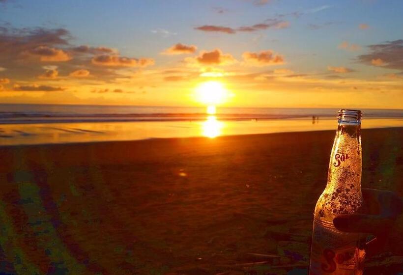 住宿加早餐  Jardín De Los Monos