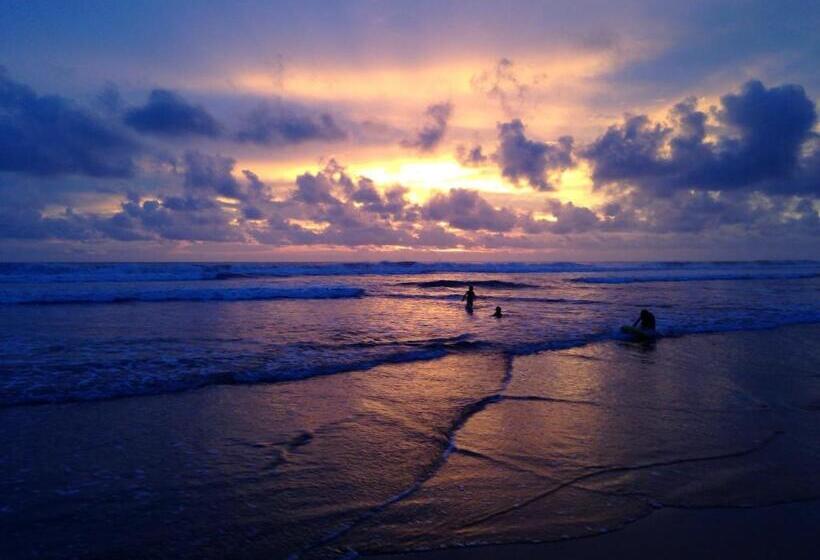 住宿加早餐  Rafiki Beach Camp