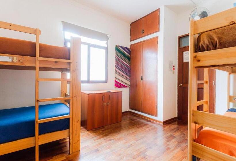 Dragonfly Hostels Miraflores