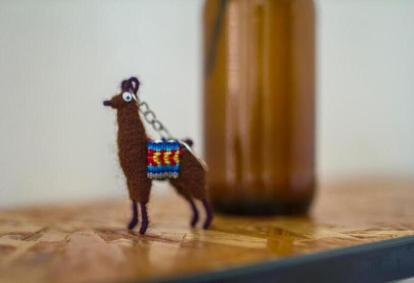 Dragonfly Hostels Miraflores