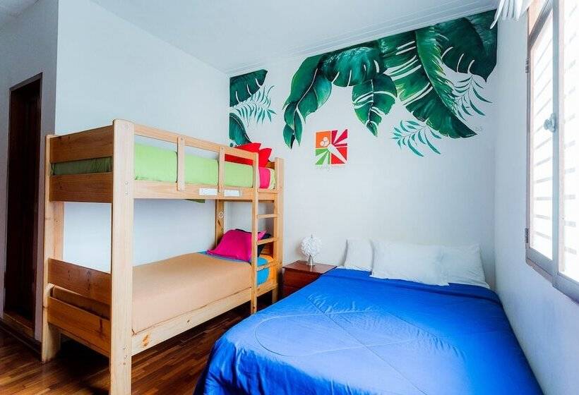 Dragonfly Hostels Miraflores