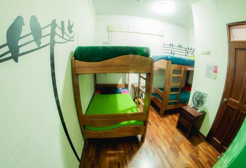 Dragonfly Hostels Miraflores