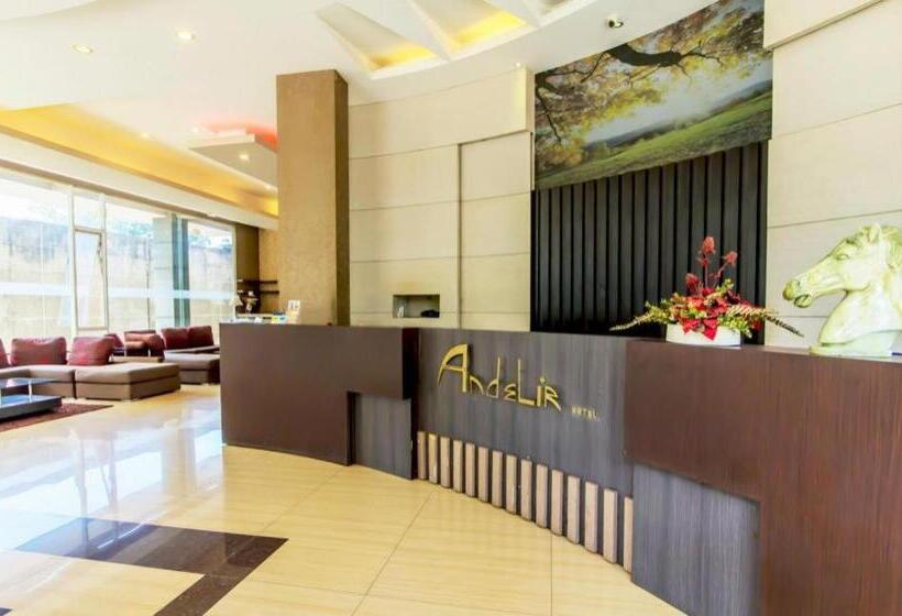 בית מלון כפרי Andelir