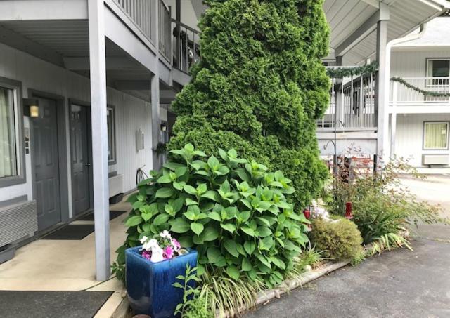 Отель Four Seasons Inn