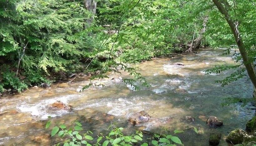 Отель Four Seasons Inn