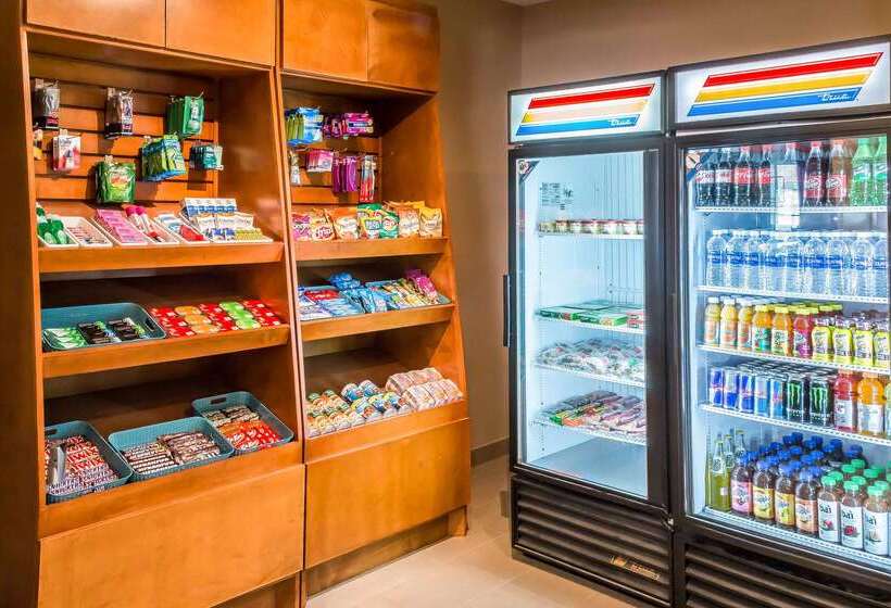 فندق Mainstay Suites Edinburg