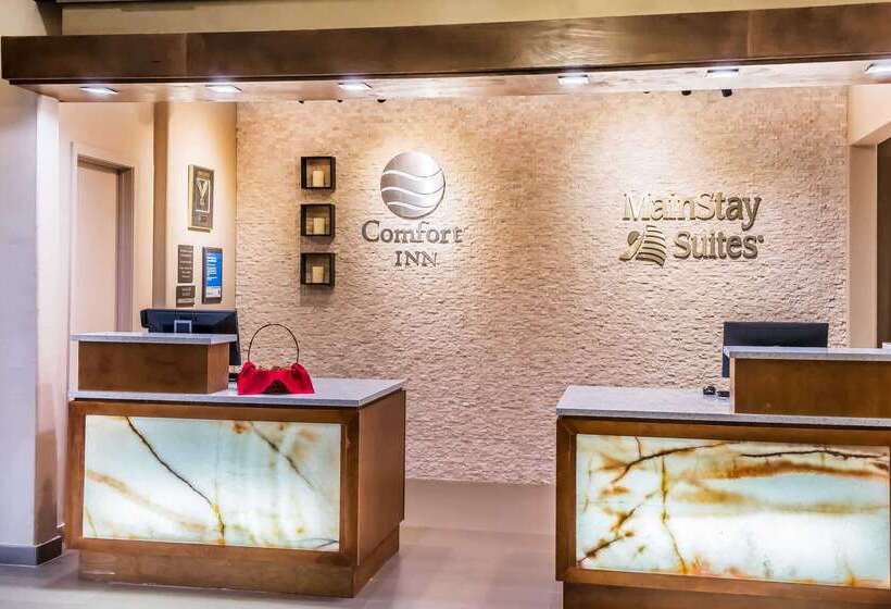 فندق Mainstay Suites Edinburg