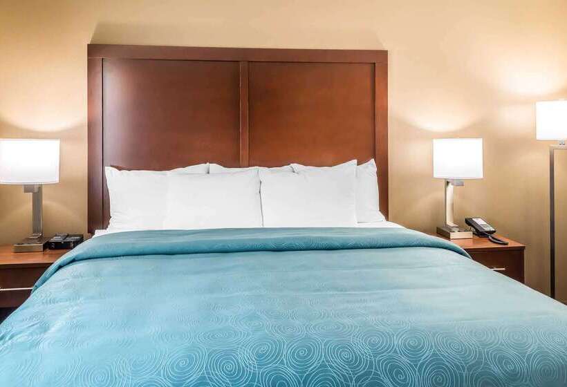 فندق Mainstay Suites Edinburg