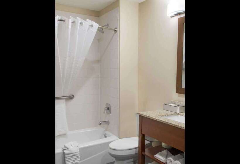 בית מלון כפרי Mainstay Suites Edinburg