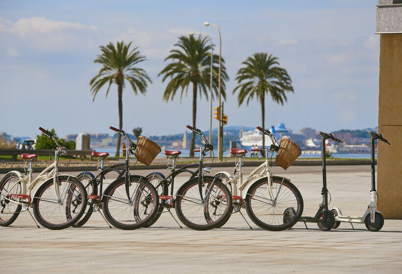 酒店 Melia Palma Bay