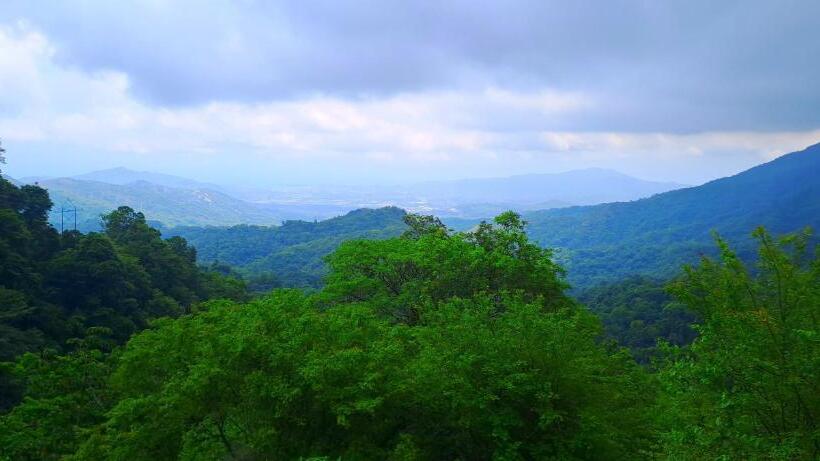 هتل Minca Ecohabs